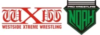 wXw & Pro Wrestling NOAH